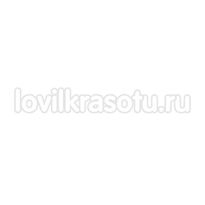 Ц005